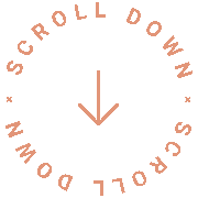 intro_scroll_button